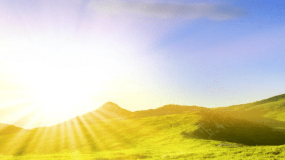 Un impegno rivoluzionario: fare bene il proprio lavoro