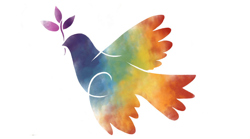 "La guerra va fatta a cuscinate"